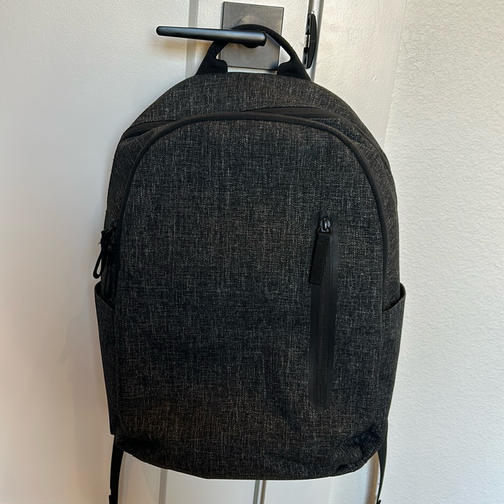 Everlane Backpack